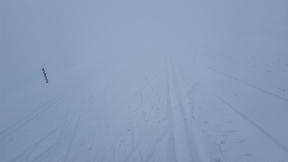 Tett tåke da jeg gikk fra Sjusjøen! Godt med nykjørt løype!