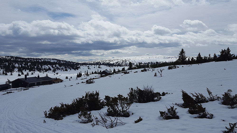Gjestebodåsen