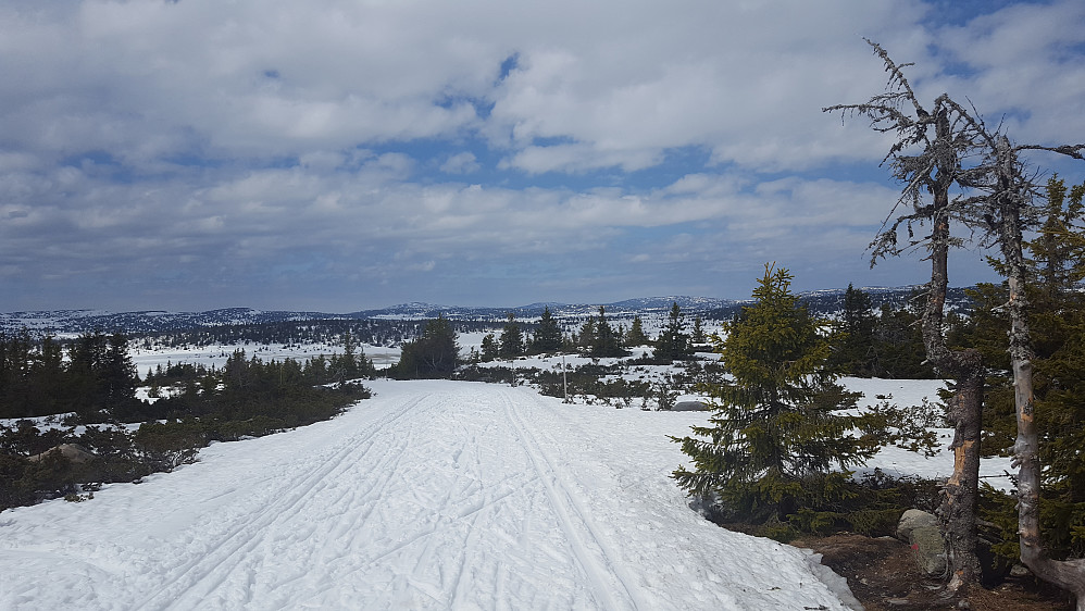 På Gjestebodåsen