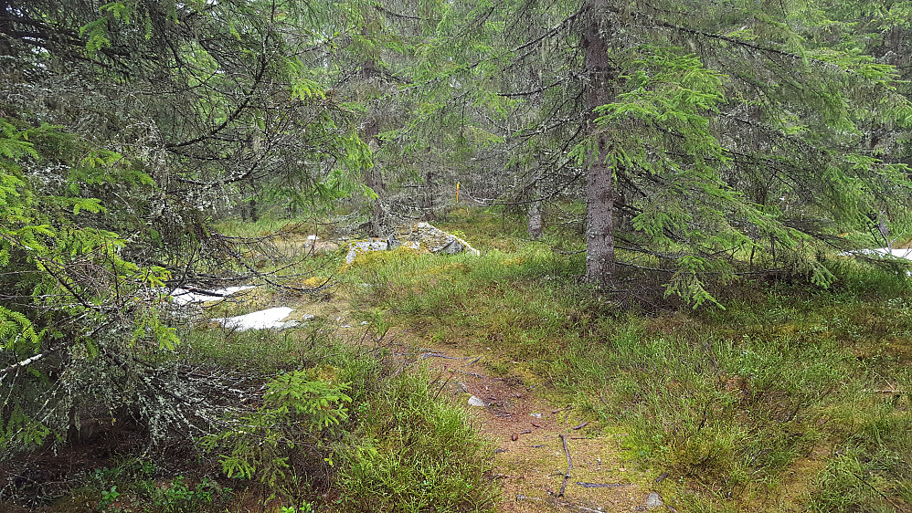 På Kanthaugen