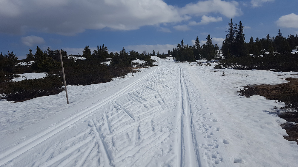 Oppover mot Gjestebodåsen