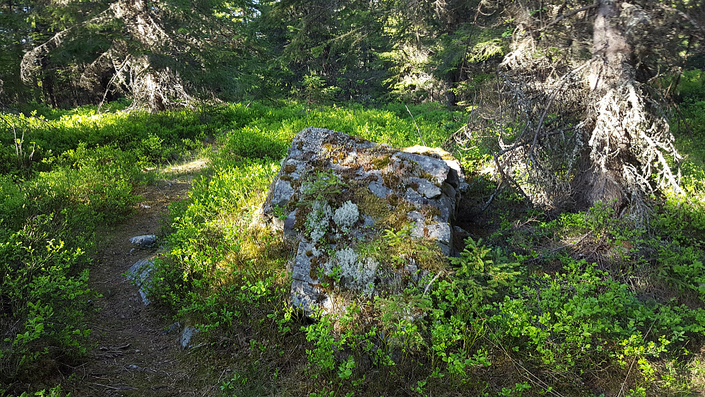 På Kanthaugen