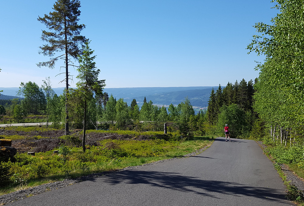Glimt av Mjøsa