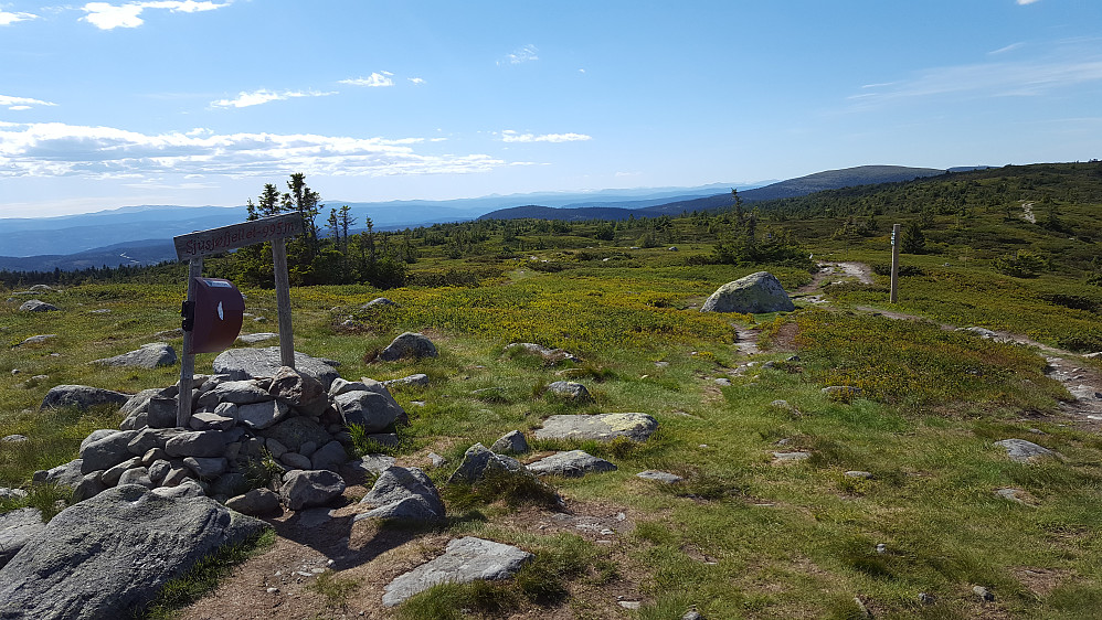 På Sjusjøfjellet
