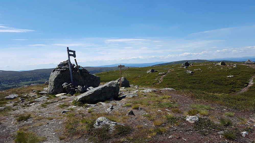 På Reinsfjellet