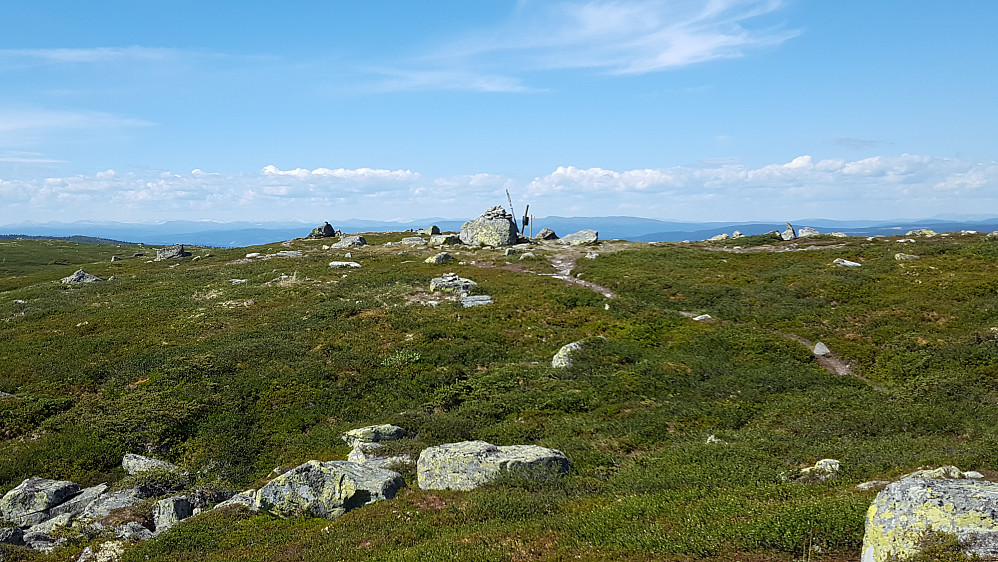 På Reinsfjellet