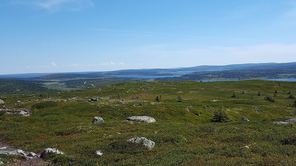 På vei ned fra Reinsfjellet