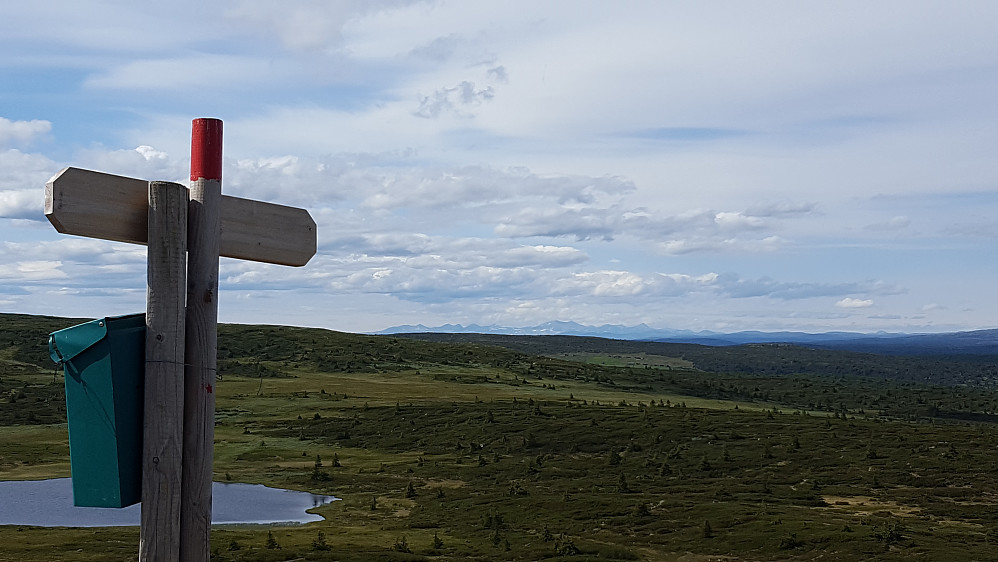 Mot bla. Rondane fra Kriksfjell