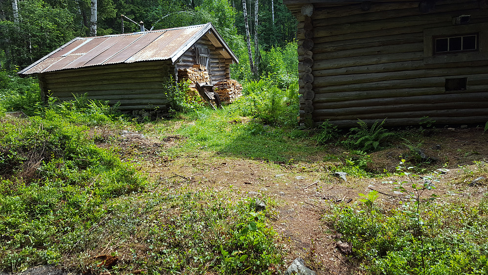 Ved Skogskoia