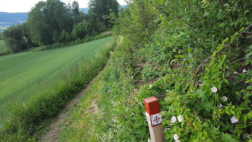 Skilting langs Pilgrimsleden