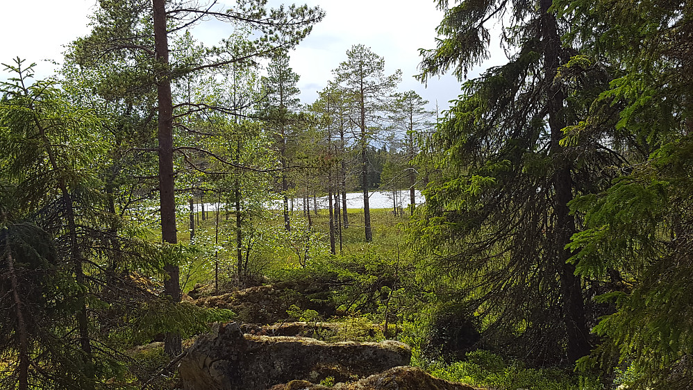 Røyslitjernet