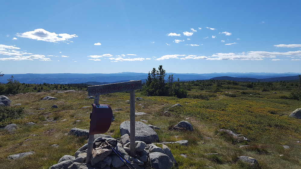 På Sjusjøfjellet