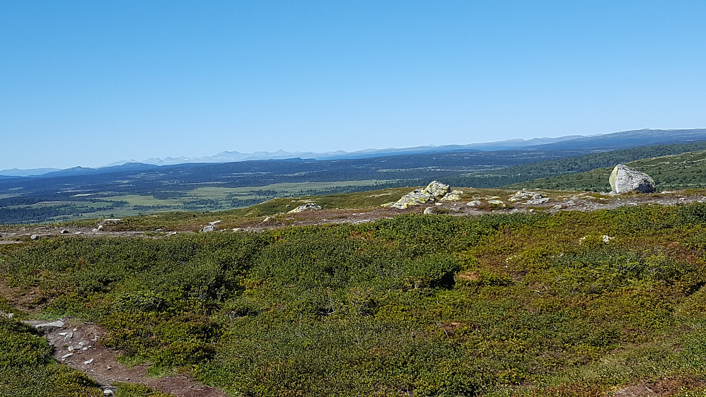 På Reinsfjellet, mot Rondane