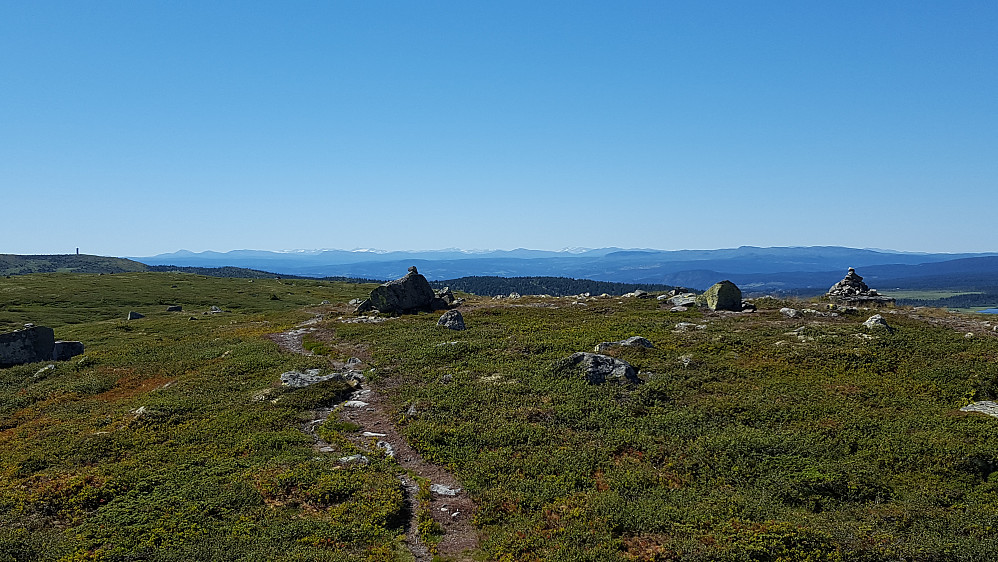 På Reinsfjellet, mot Gausdalsfjell, Jotunheimen bak
