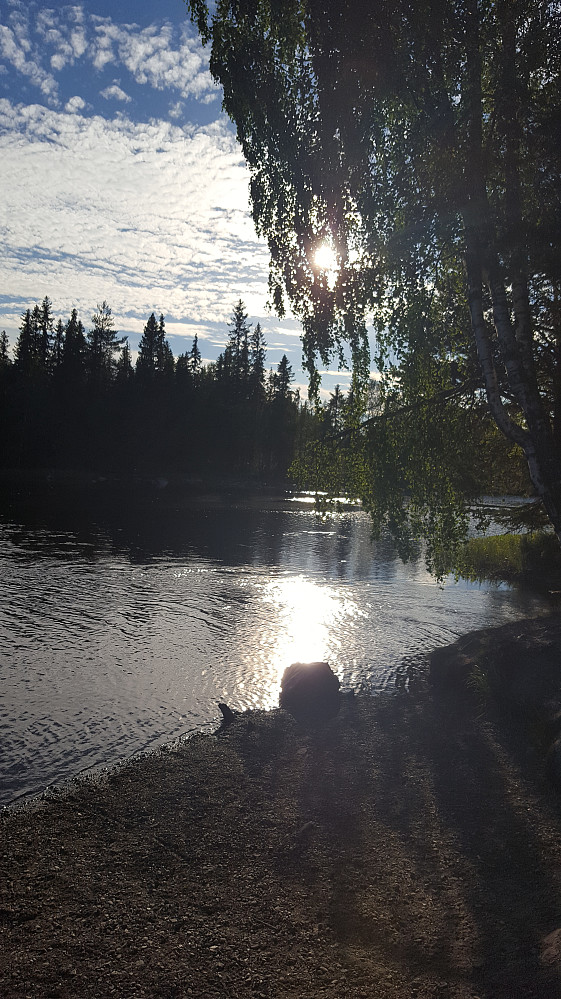 Ved Krokbua