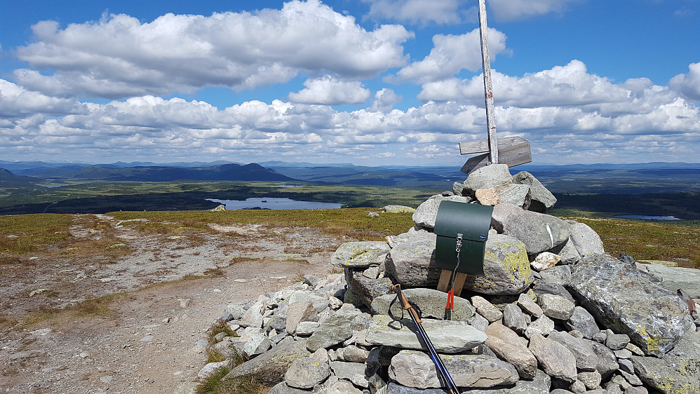 På Skjervungfjellet
