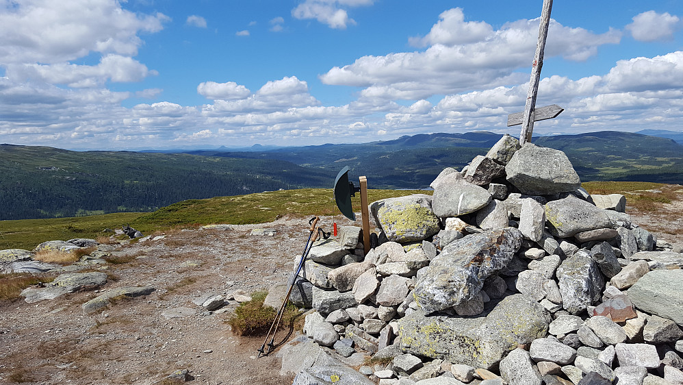 På Skjervungfjellet
