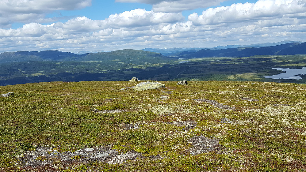 På Skjervungfjellet
