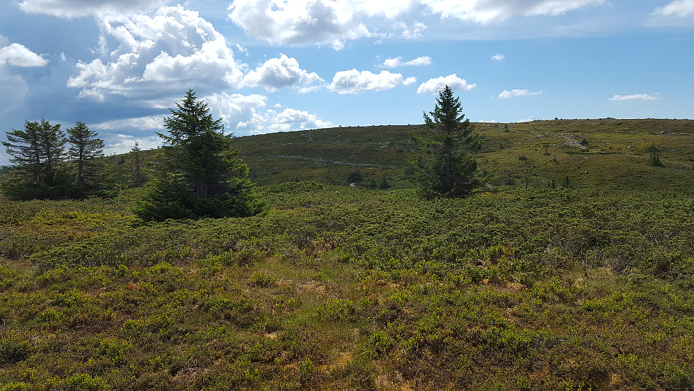På Lunkefjell V1, skimter folk på Lunkefjell