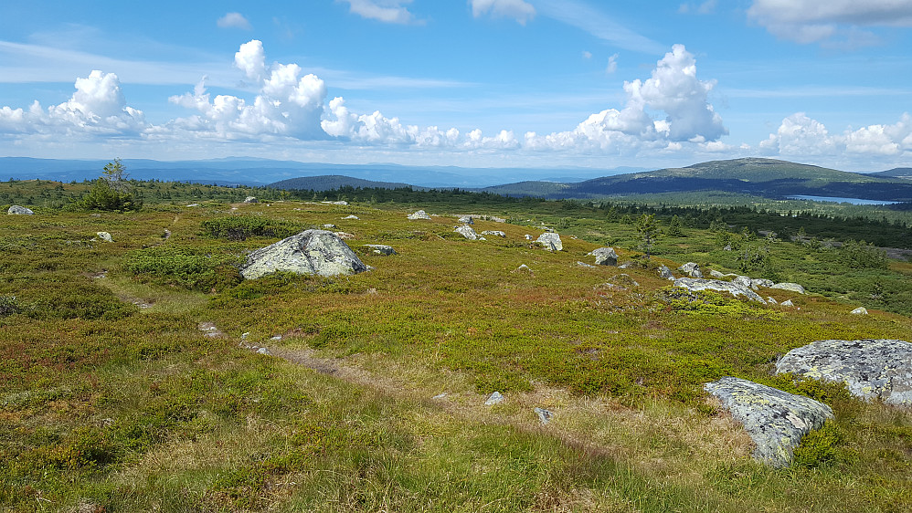 På Høgfjellet