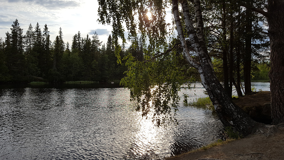 Ved Krokbua