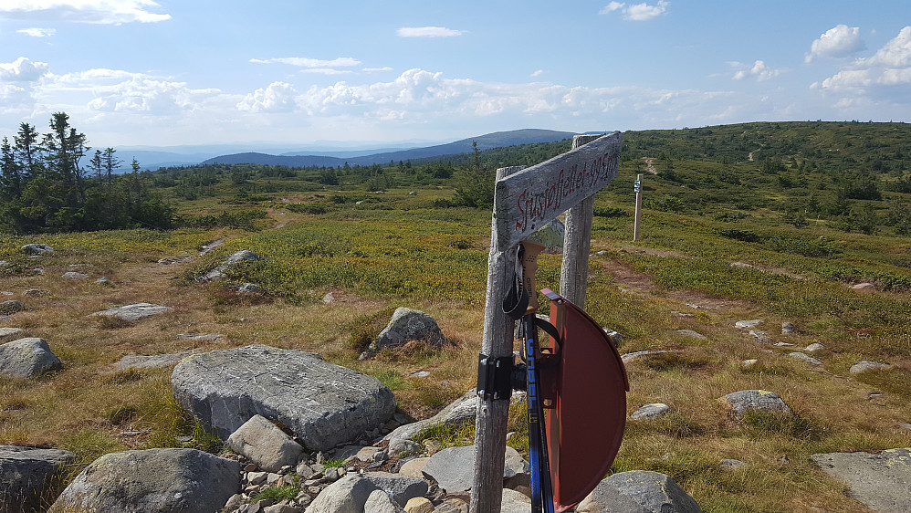 På Sjusjøfjellet