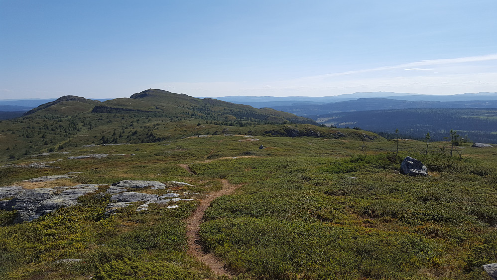 På Skjenafjellet, mot Killiknappen og Roåkerknappen