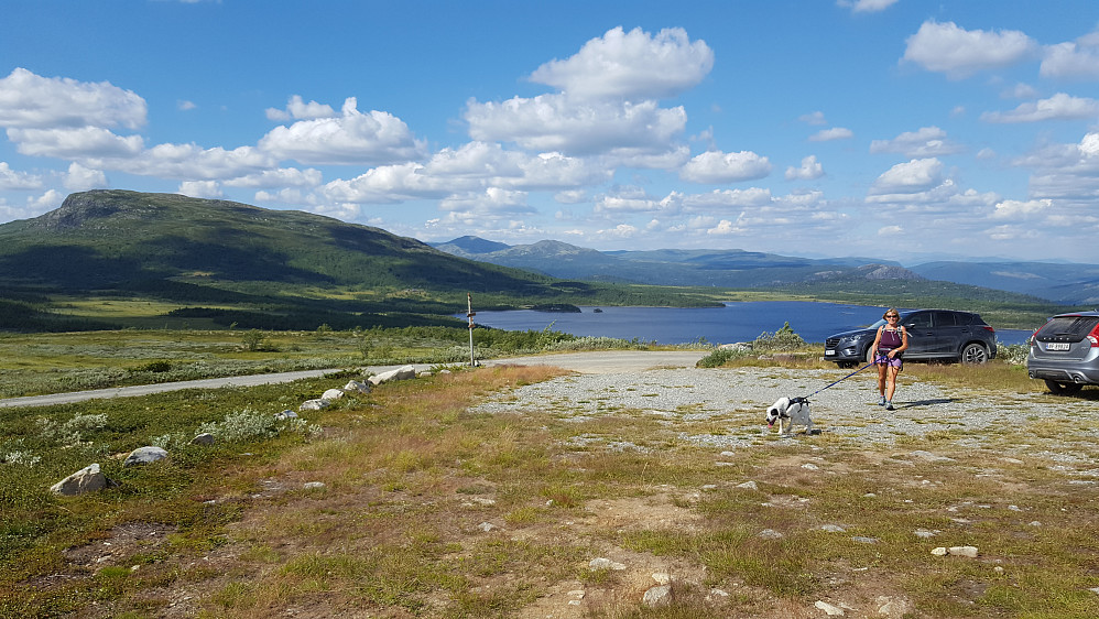 Parkeringslomma på Vetafjellet