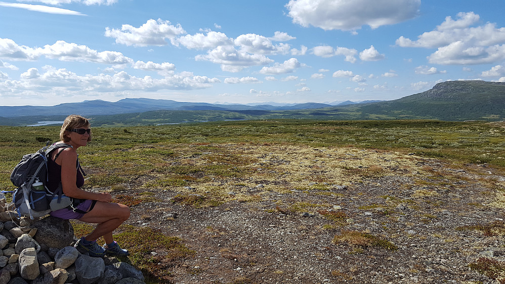 På trigpunktet