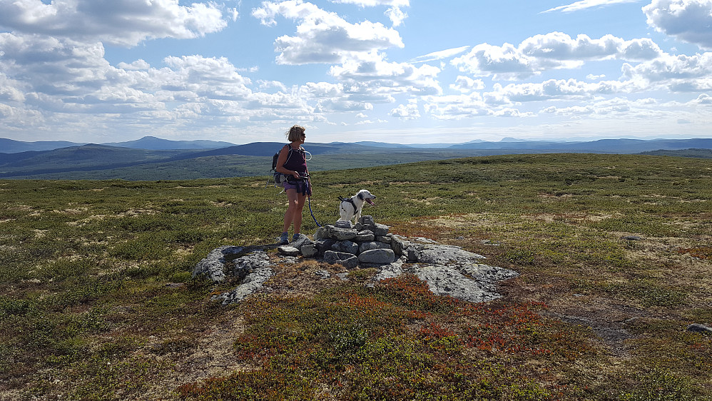 På høgeste punkt på Vetafjellet