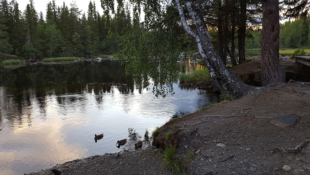 Ved Krokbua