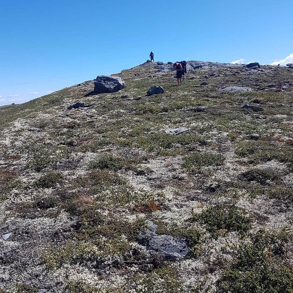 Jeg på toppen! 