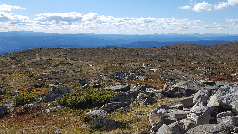 På Nevelfjellet
