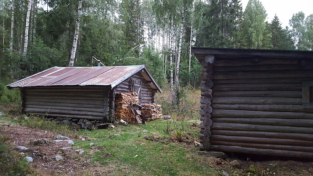 Ved Skogskoia på Maihaugen
