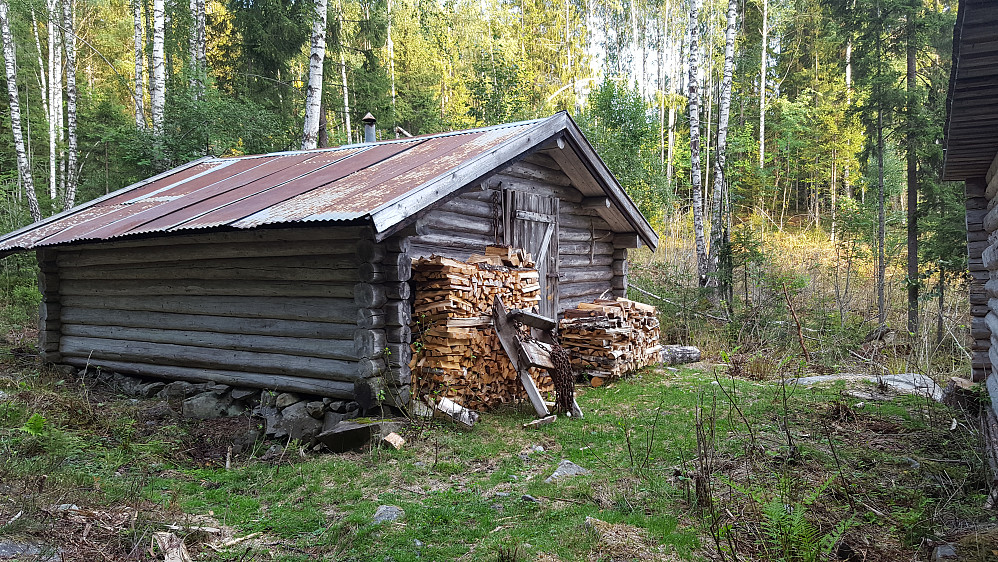 Ved Skogskoia på Maihaugen