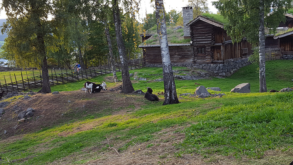 Maihaugen