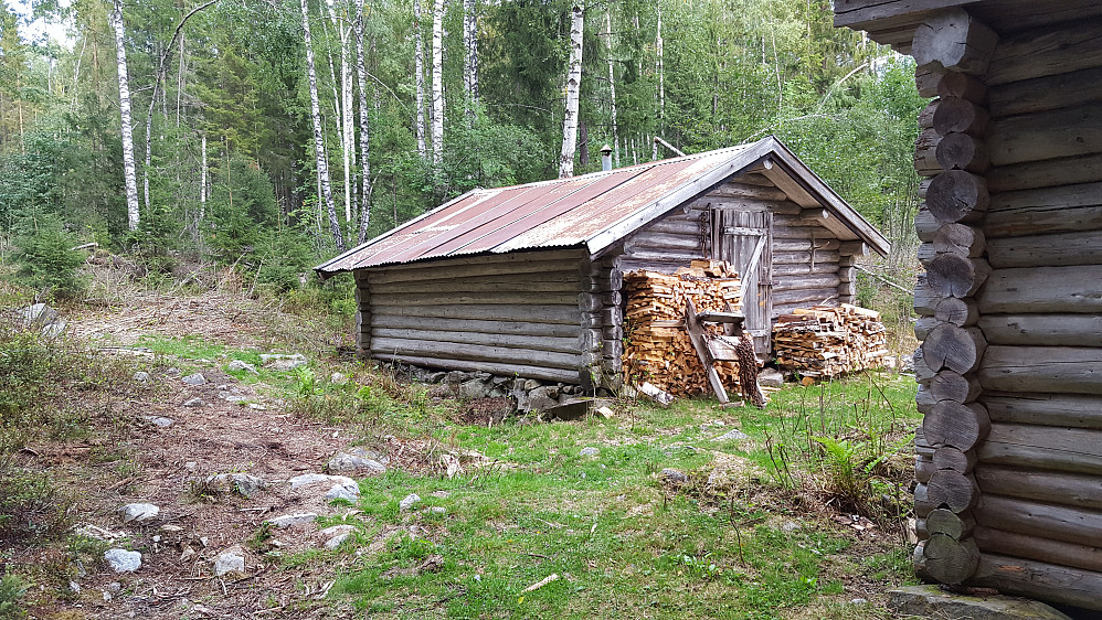 Ved Skogskoia