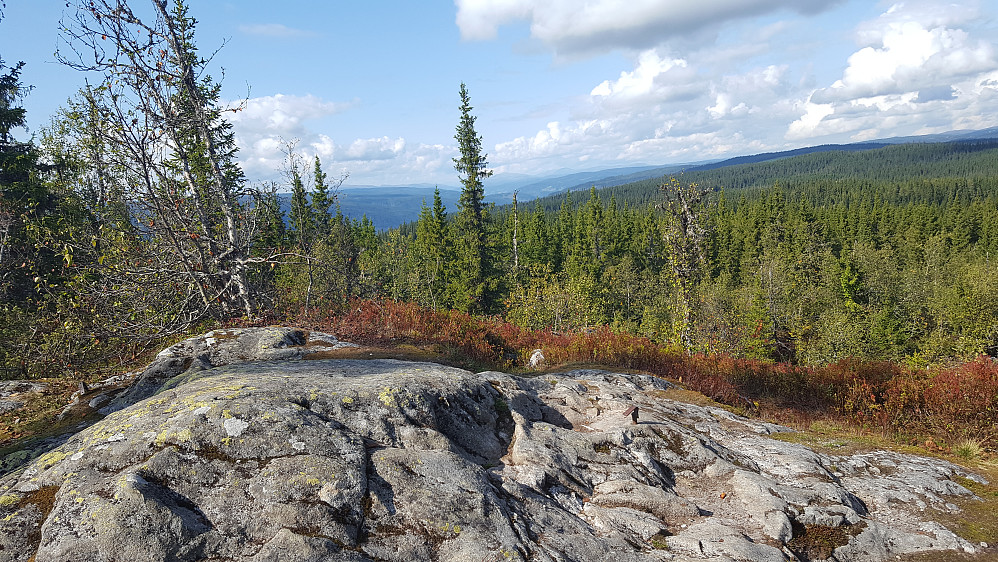 På Vardkampen