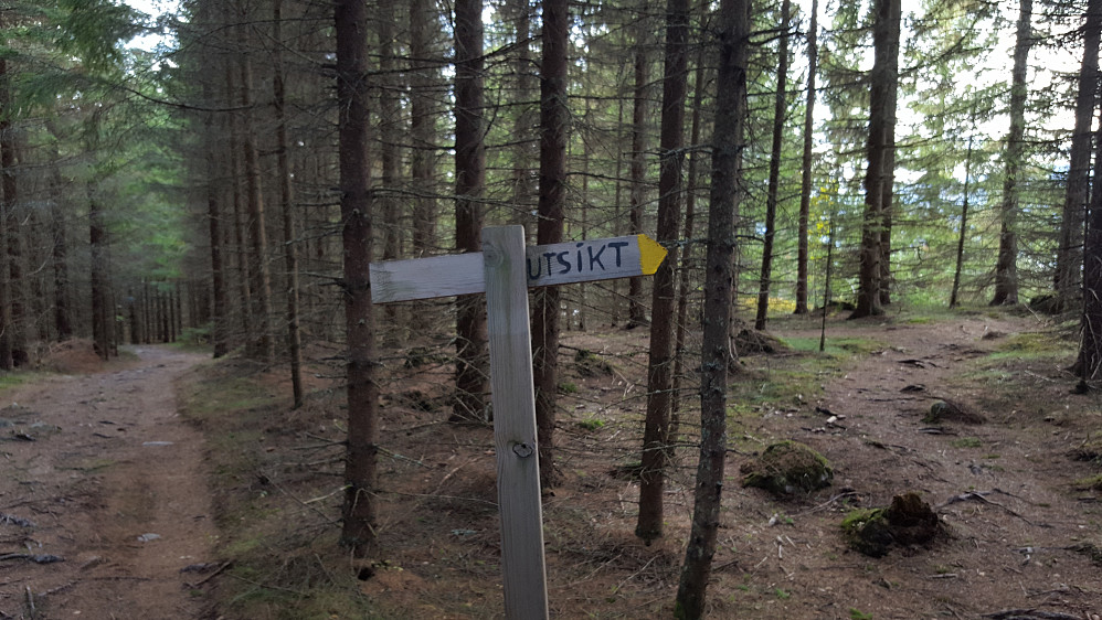 Liten avstikker