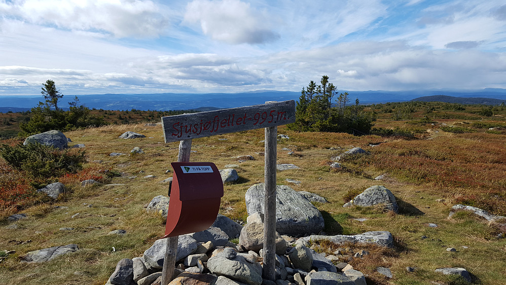 På Sjusjøfjellet