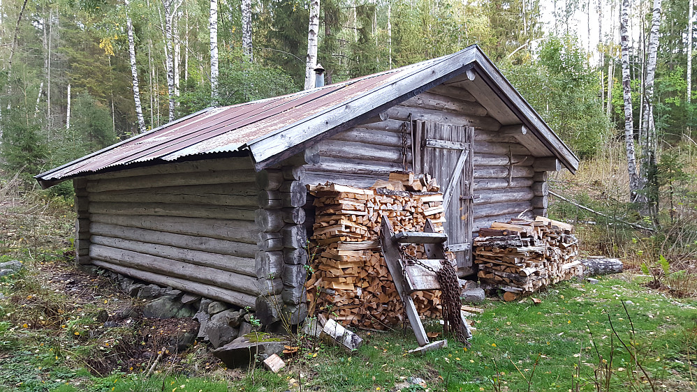 Skogskoia