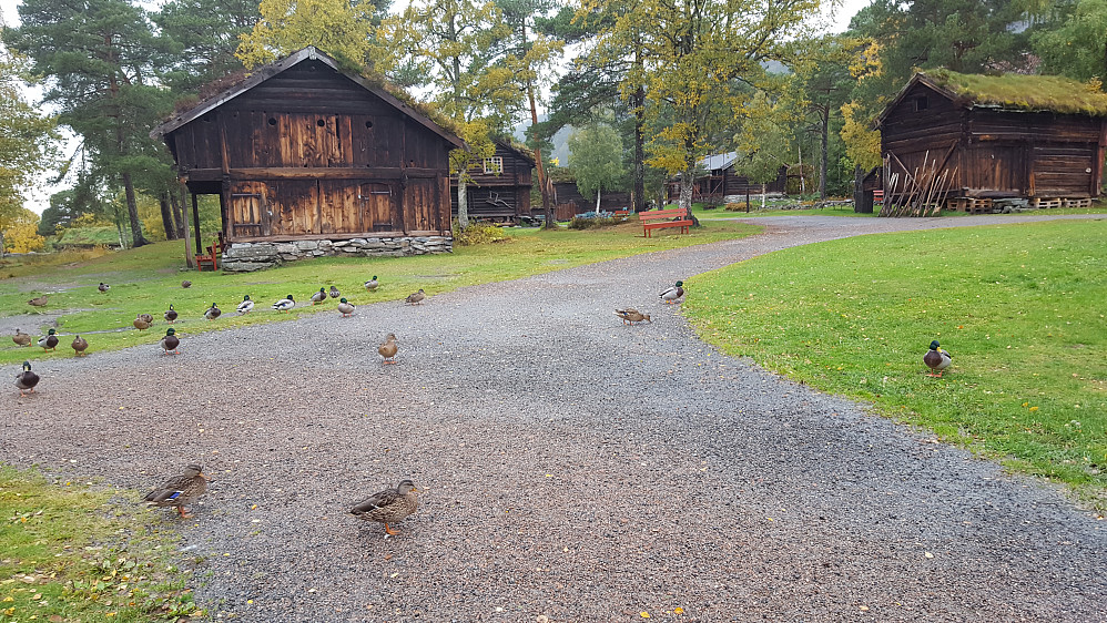 På Romsdalsmuseet