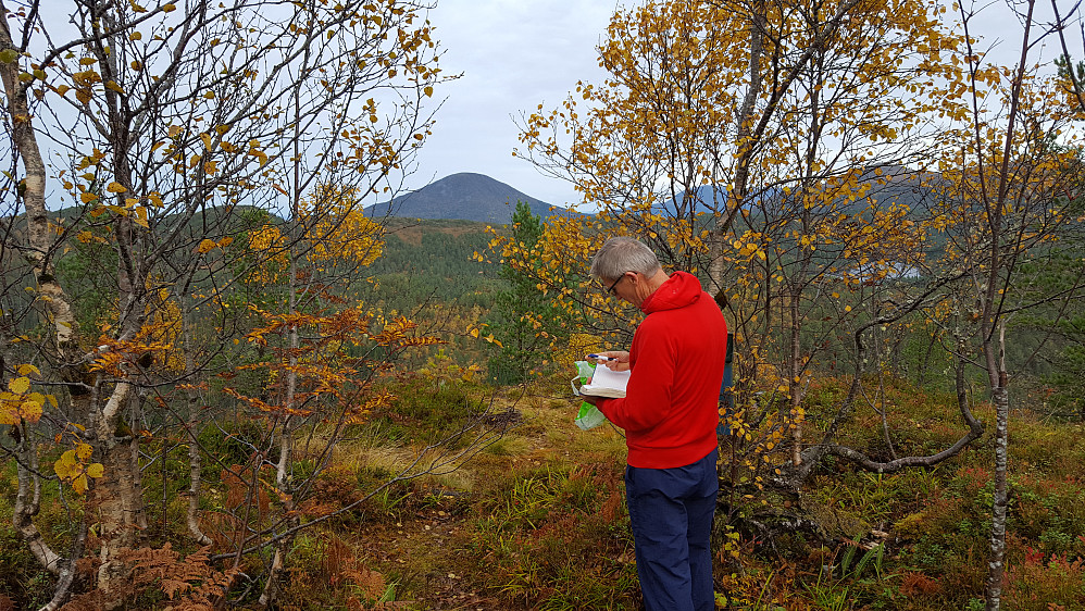 På Kringstadnakken mot Jendemsfjellet