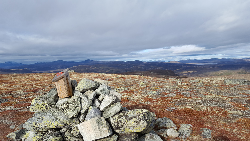 På Vågskardfjellet
