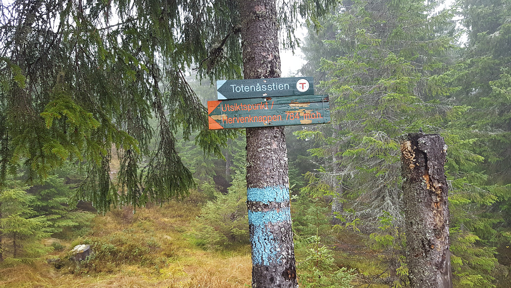 Ved starten på råket