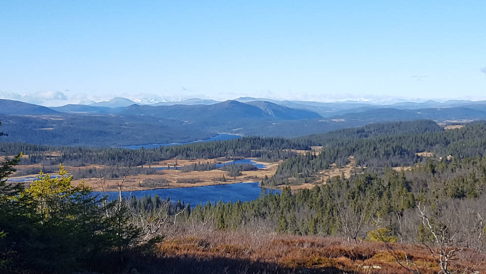På Sandoddbekkhaugen
