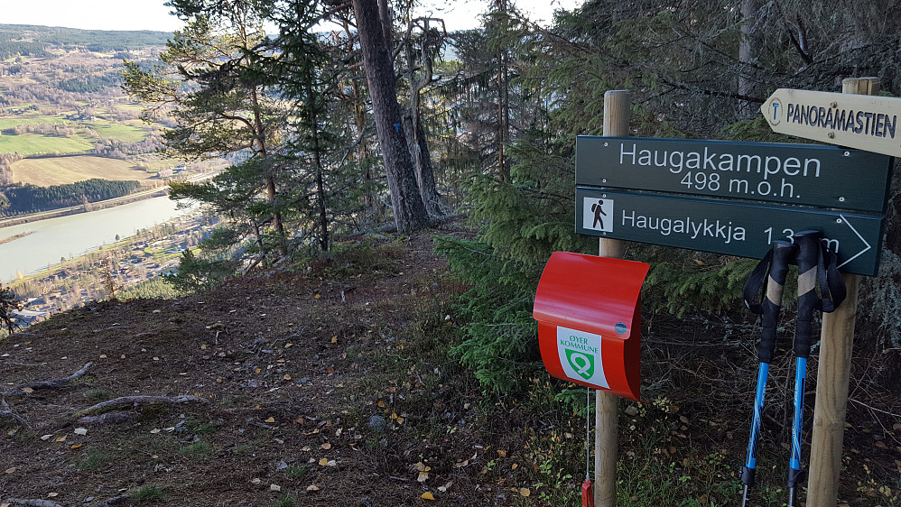 På Haugakampen