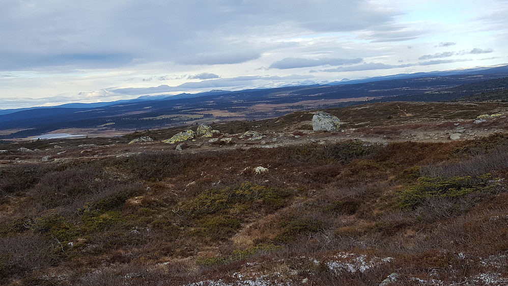 På Reinsfjellet