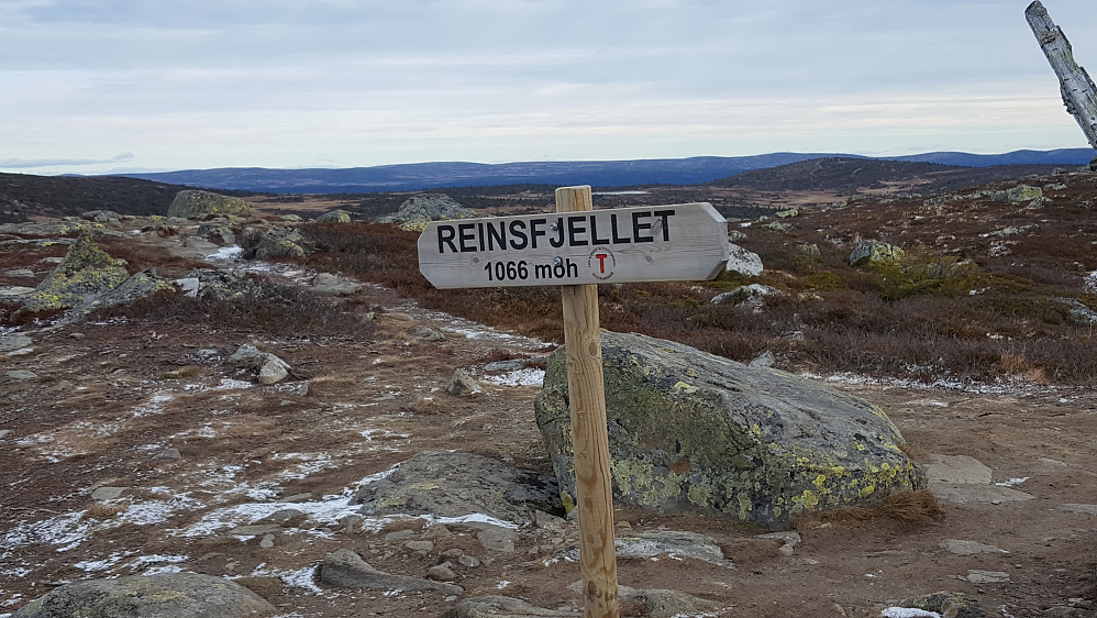 På Reinsfjellet