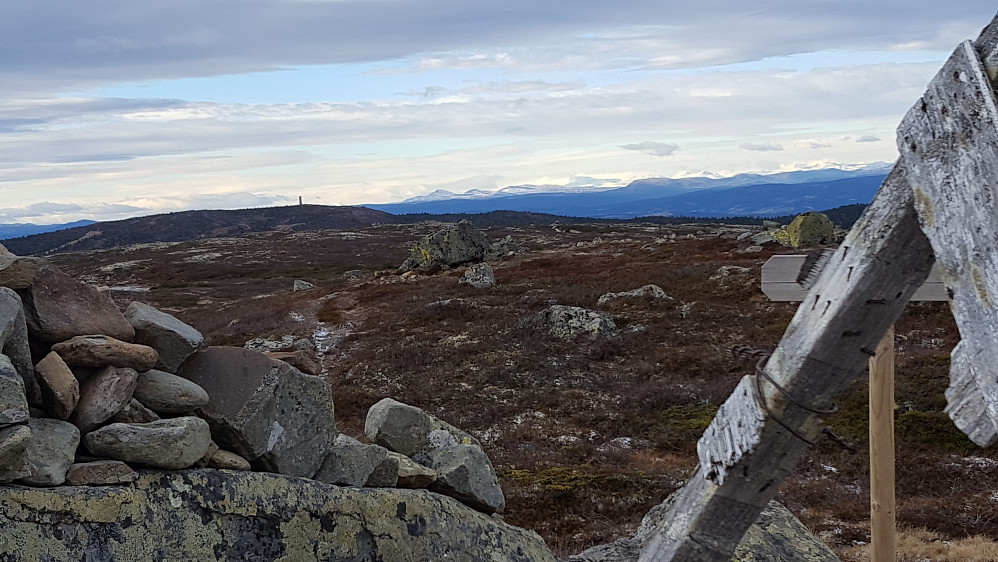 På Reinsfjellet